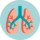 Unsere Informationen zu COPD