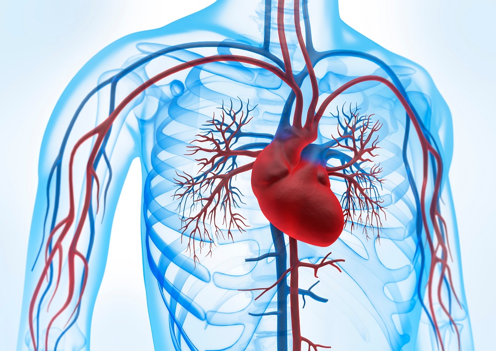 Bluthochdruck – Gefäßschäden und Folgeerkrankungen